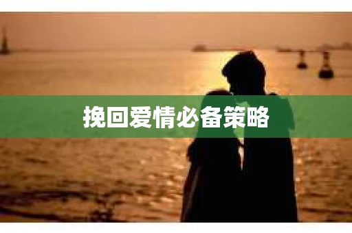 挽回爱情必备策略
