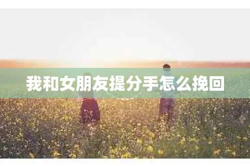 我和女朋友提分手怎么挽回