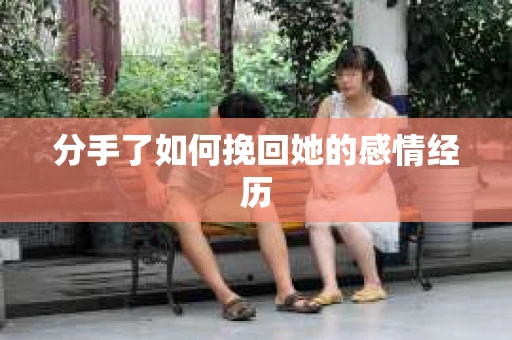分手了如何挽回她的感情经历