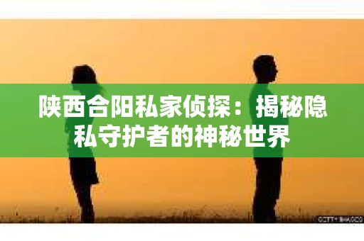 陕西合阳私家侦探：揭秘隐私守护者的神秘世界