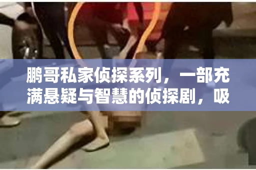 鹏哥私家侦探系列，一部充满悬疑与智慧的侦探剧，吸引了无数观众的眼球。今天，就让我带你走进这个充满神秘色彩的侦探世界，一起在线观看鹏哥私家侦探系列，感受那扣人心弦的故事情节。