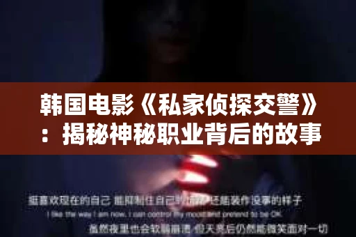 韩国电影《私家侦探交警》：揭秘神秘职业背后的故事