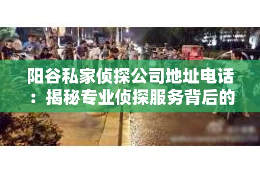 阳谷私家侦探公司地址电话：揭秘专业侦探服务背后的故事
