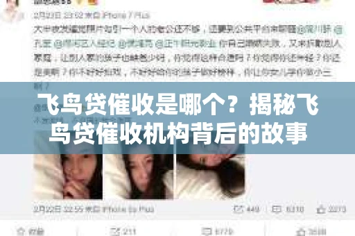 飞鸟贷催收是哪个？揭秘飞鸟贷催收机构背后的故事