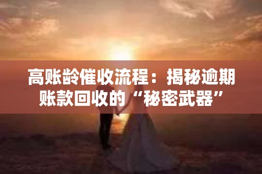 高账龄催收流程：揭秘逾期账款回收的“秘密武器”