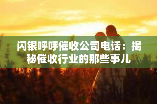 闪银呼呼催收公司电话：揭秘催收行业的那些事儿