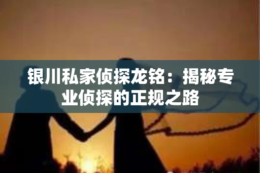 银川私家侦探龙铭：揭秘专业侦探的正规之路