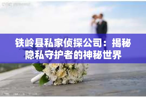 铁岭县私家侦探公司：揭秘隐私守护者的神秘世界