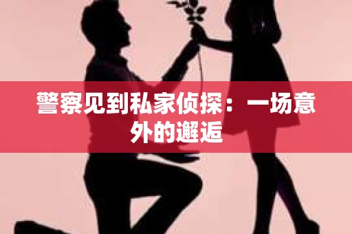 警察见到私家侦探：一场意外的邂逅