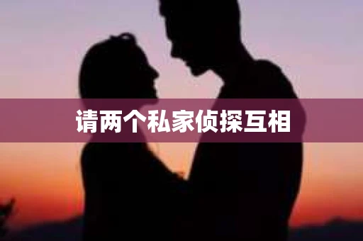 请两个私家侦探互相