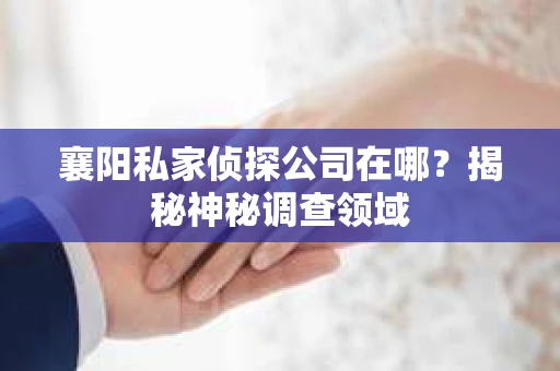 襄阳私家侦探公司在哪？揭秘神秘调查领域