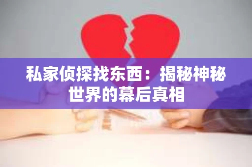 私家侦探找东西：揭秘神秘世界的幕后真相