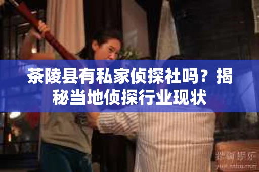 茶陵县有私家侦探社吗？揭秘当地侦探行业现状