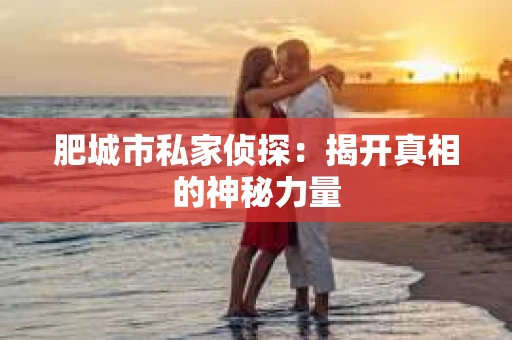 肥城市私家侦探：揭开真相的神秘力量