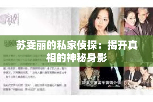 苏雯丽的私家侦探：揭开真相的神秘身影