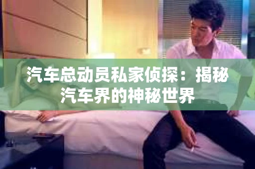 汽车总动员私家侦探：揭秘汽车界的神秘世界