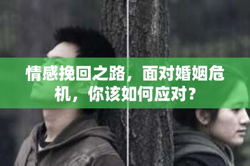 情感挽回之路,面对婚姻危机,你该如何应对? 情感挽回之路,面对婚姻危机,你该如何应对?