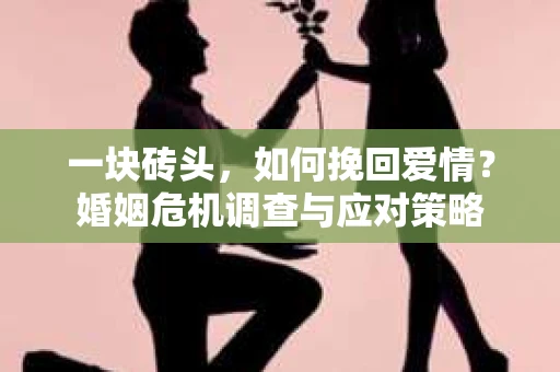 一块砖头,如何挽回爱情?婚姻危机调查与应对策略 一块砖头,如何挽回爱情?婚姻危机调查与应对策略