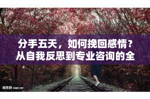 分手五天，如何挽回感情？从自我反思到专业咨询的全面解决方案