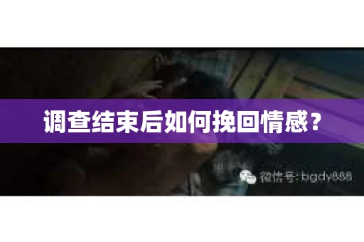 调查结束后如何挽回情感？