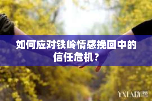 如何应对铁岭情感挽回中的信任危机? 如何应对铁岭情感挽回中的信任危机?