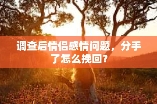 调查后情侣感情问题，分手了怎么挽回？