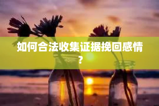 如何合法收集证据挽回感情? 如何合法收集证据挽回感情?